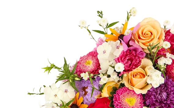 Fresh flowers